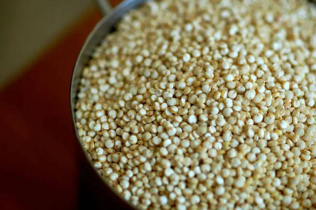 Todo sobre la Quinoa