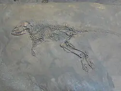 anunnaki anunnaki