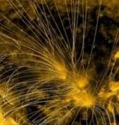 Niños haitianos tras el huracán te llenarán de esperanza.