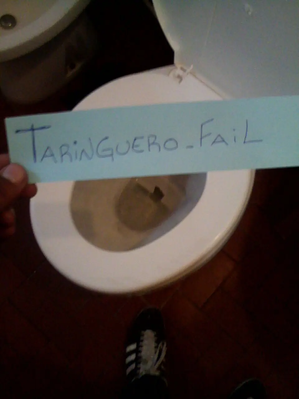 Se metio un sapo en mi inodoroy te lo muestro