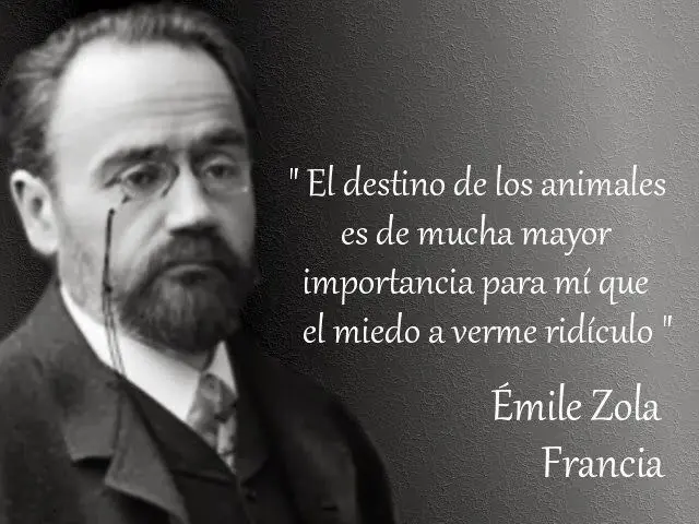 frases