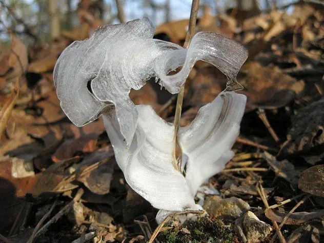 20 Fenómenos Naturales Que Te SORPRENDERAN 20 Fenómenos Naturales Que Te SORPRENDERAN