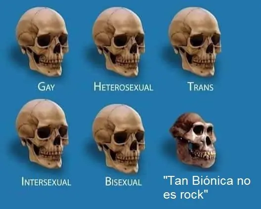 regaton