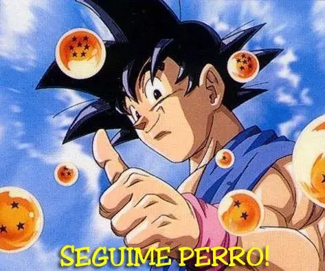 caretaje