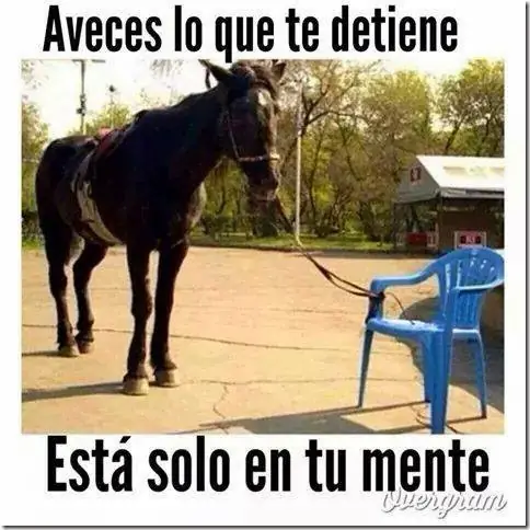 Atados a la silla