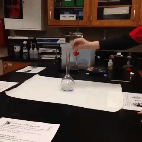 ciencia