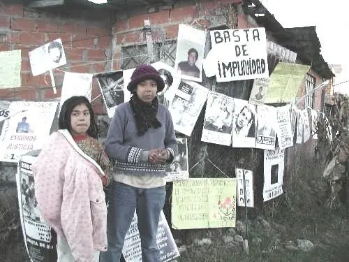 fenomeno comercial