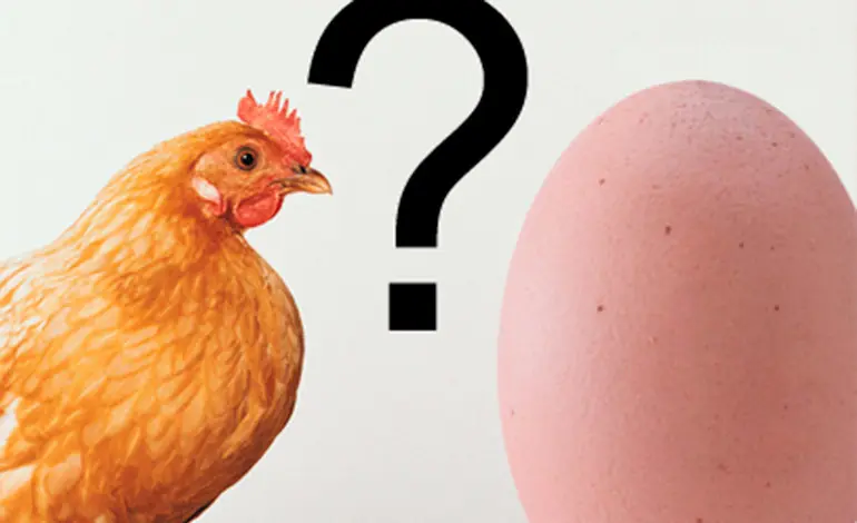 Que fue primero el huevo o la gallina?