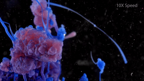 20 Gifs para amantes y no amantes de la ciencia