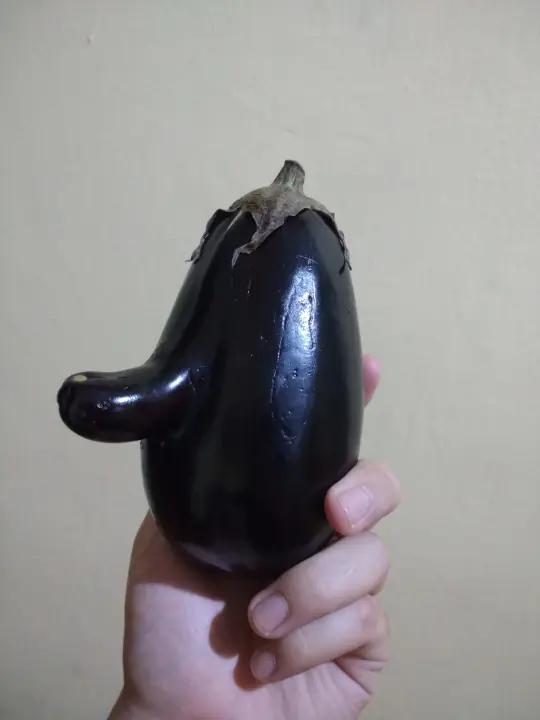 Y si hacemos TOP a mi berenjena con pija?
