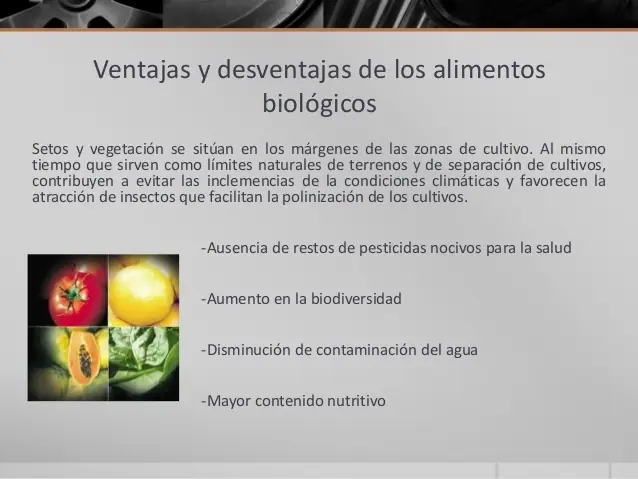 cultivos