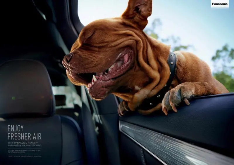 callate y toma mi dinero callate y toma mi dinero