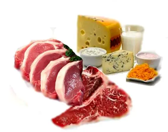 Proteinas para quemar grasa