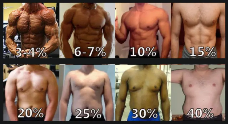 V7 LvL 5 Proteínas para quemar grasa
