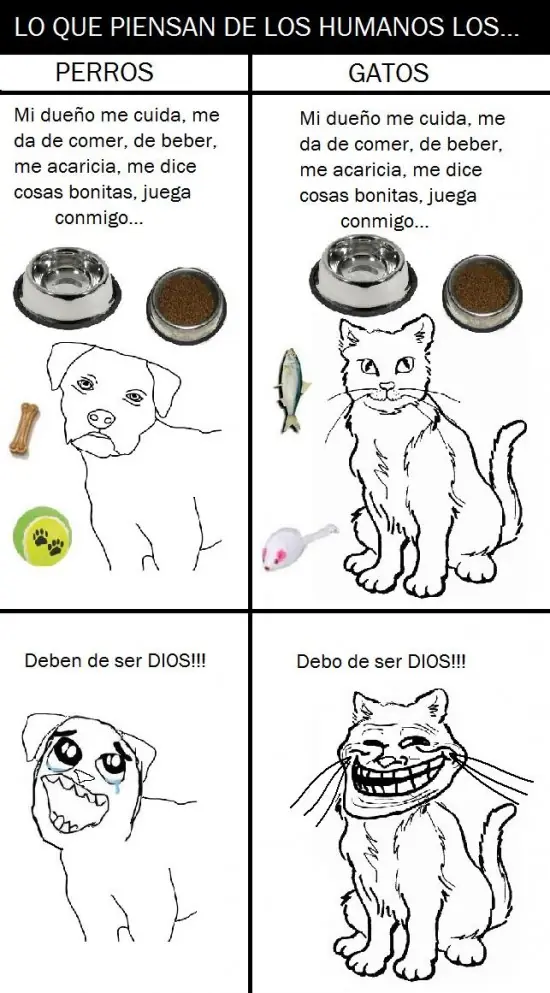 memes