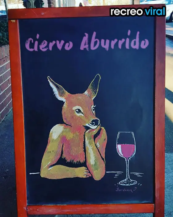amigo