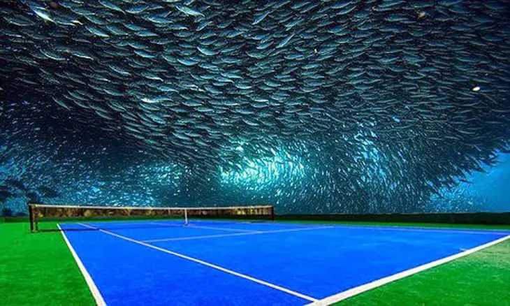 Mira la cancha de tenis ¡Bajo el mar! que Dubai prepara
