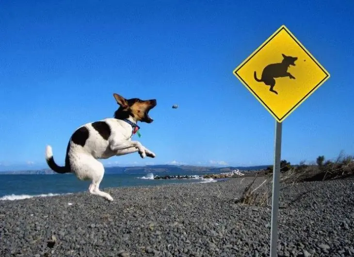 Mis Favoritas del Mi (parte 5)