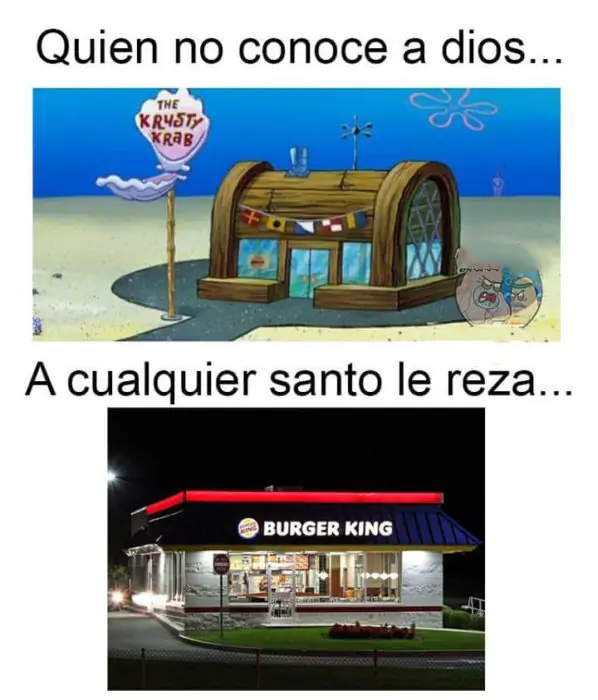 Conoce