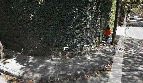 gifs que