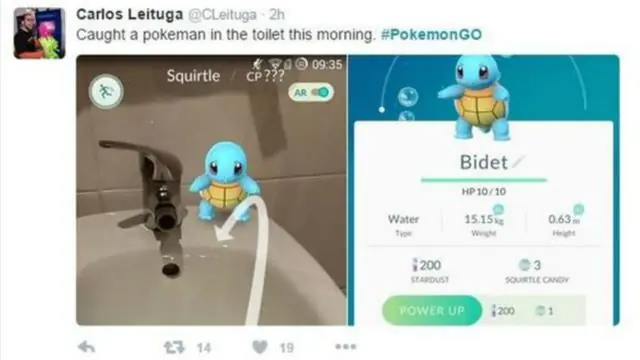 pokemon pokemon