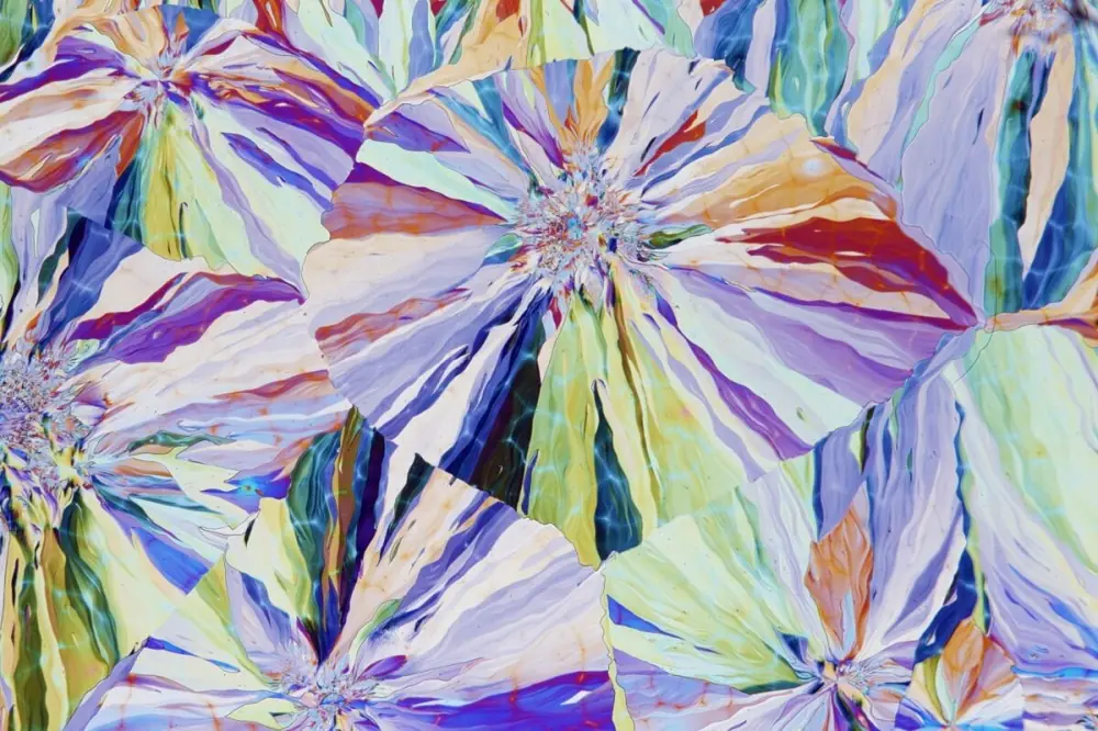 microscopio