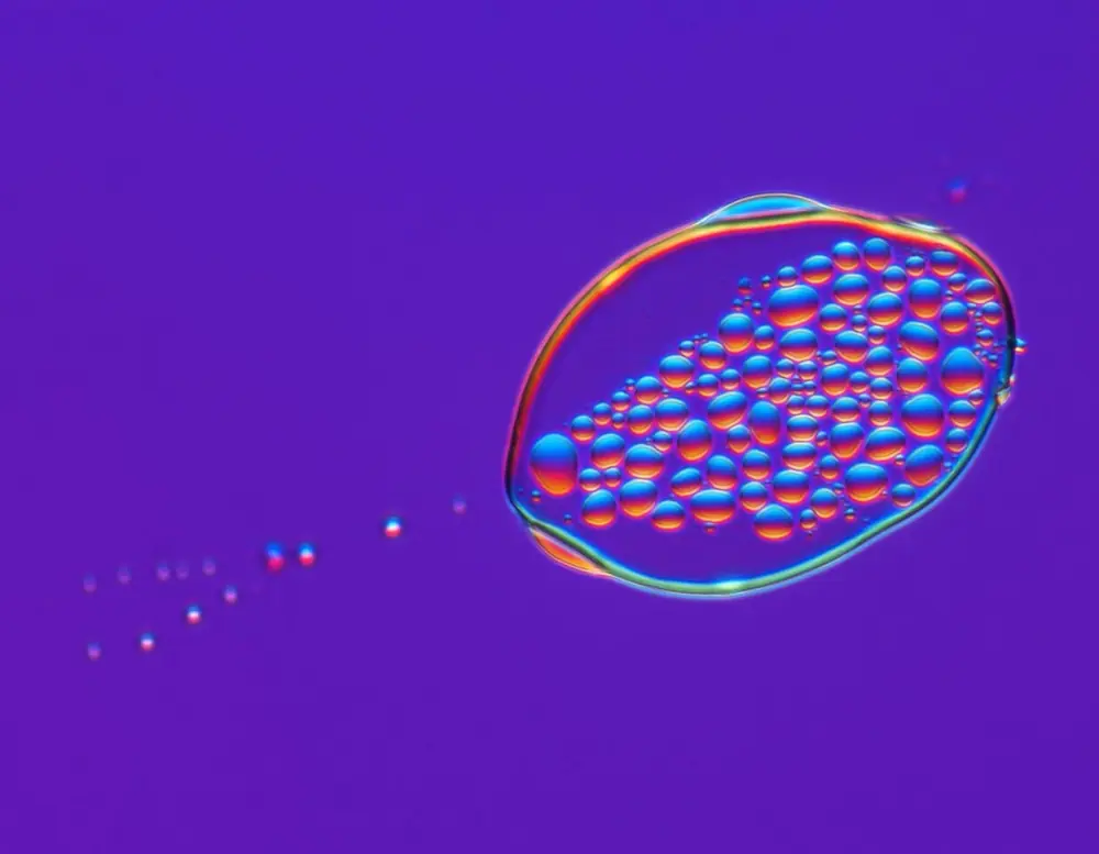 microscopio