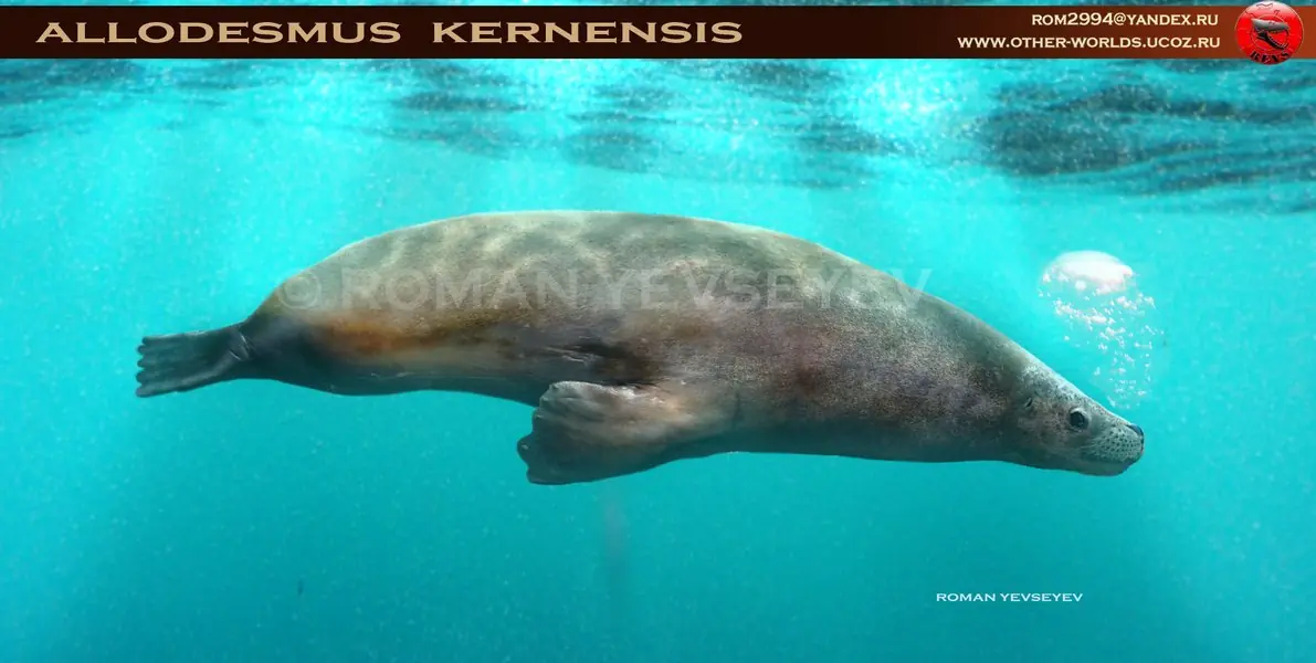 sirenas sirenas