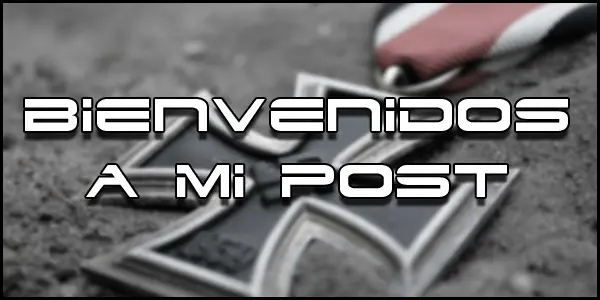 - Mis Posts -