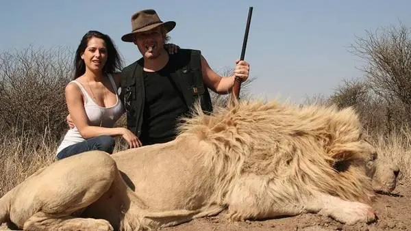 leones leones