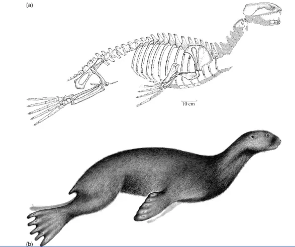 paleontologa