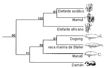 erlend erlend