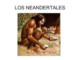 La desaparición de los neandertales