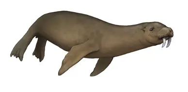Eoceno Eoceno