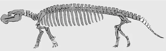 paleontologa