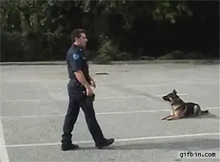 policia