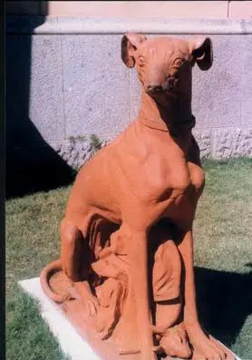 pittamiglio