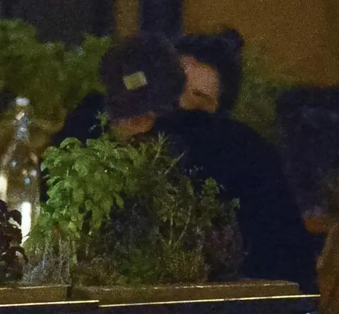 kristen stewart noticias