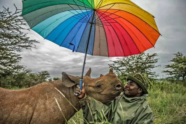 imagenes divertidas