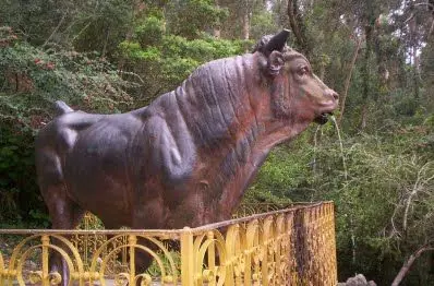 pittamiglio