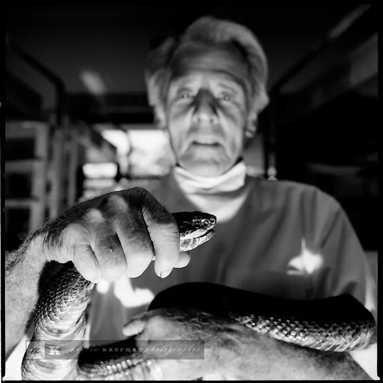 Serpiente Serpiente