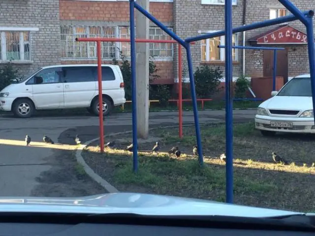 imagenes divertidas
