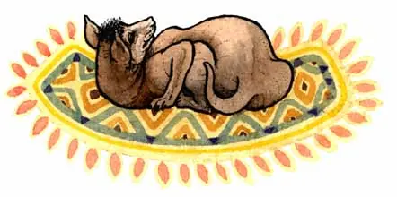 Animales Mexicanos