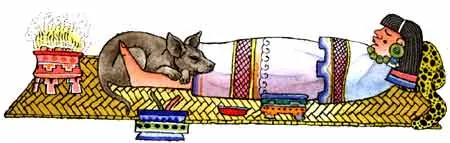 animales mexicanos
