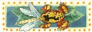 Animales Mexicanos