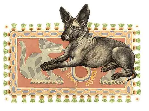 nahuatl nahuatl
