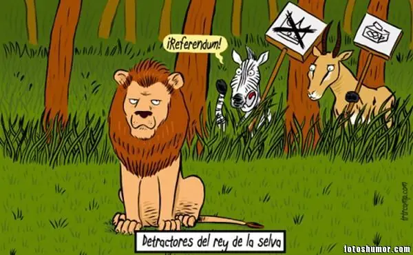 imagenes divertidas