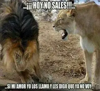 con novia