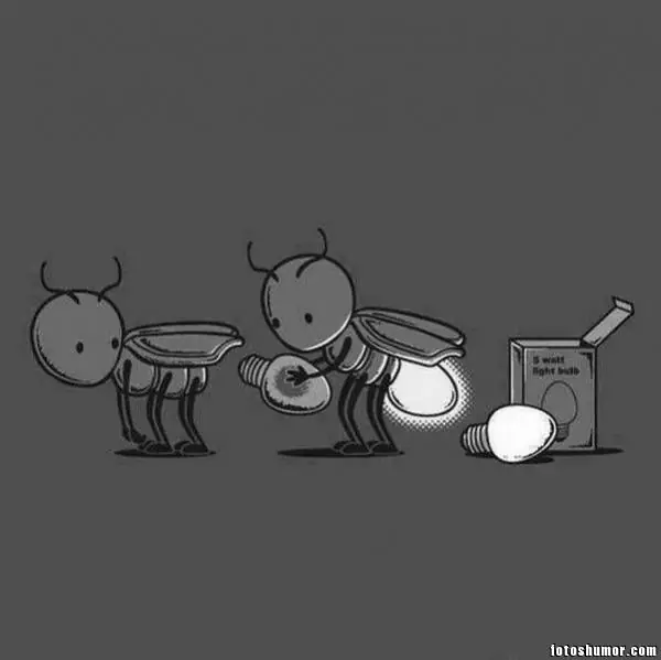 imagenes divertidas
