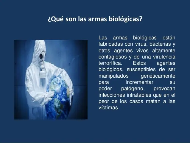 terrorismo